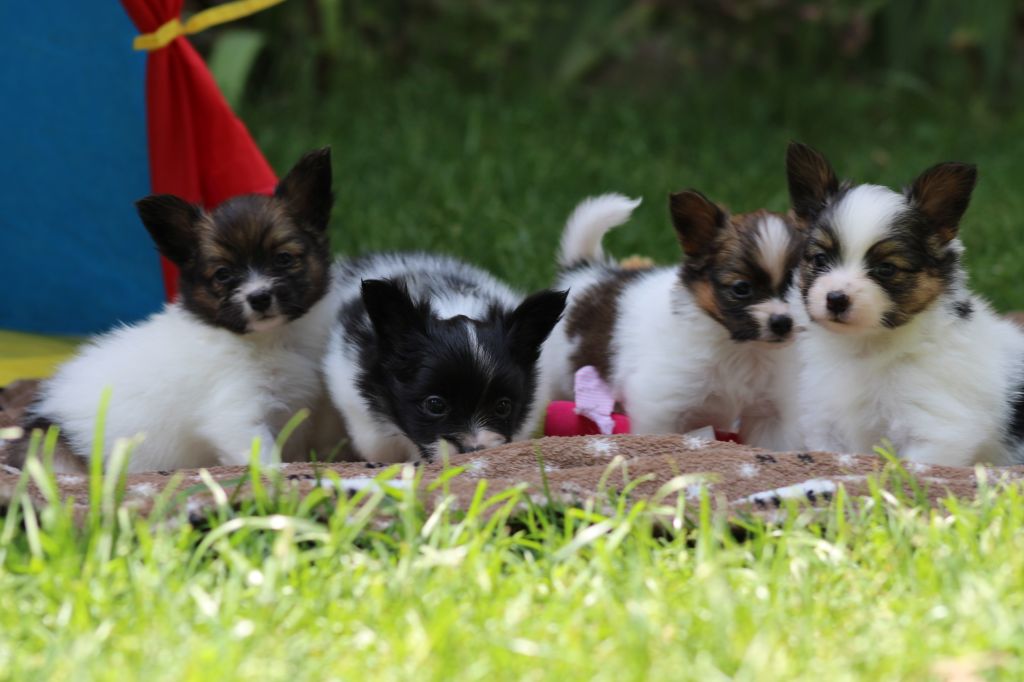 Ricky De La Vallée De La Py