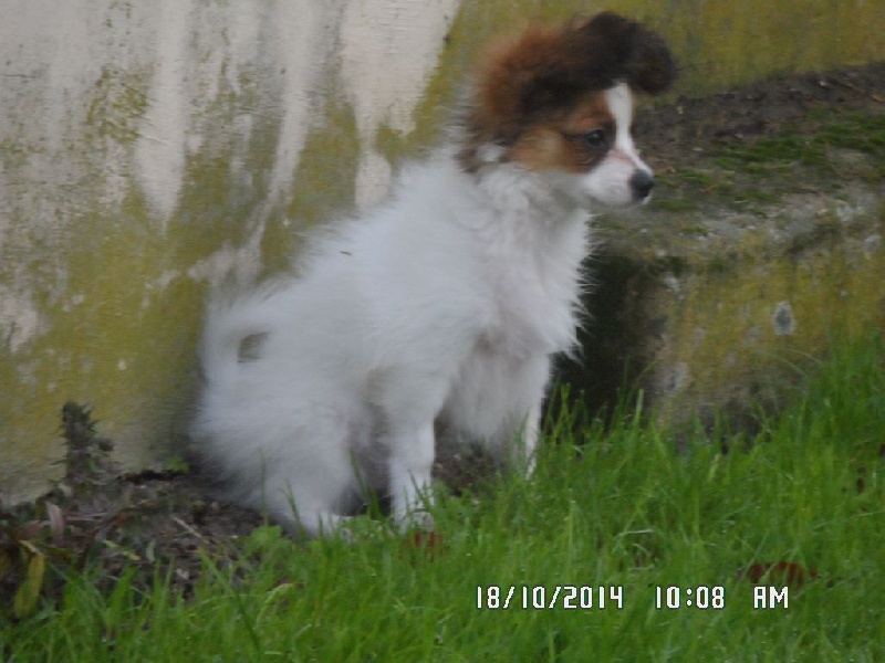 Jepp De La Vallée De La Py