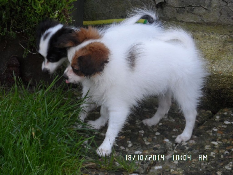 Jepp De La Vallée De La Py