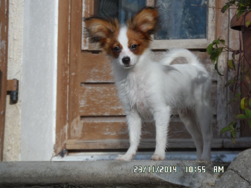 Jepp De La Vallée De La Py