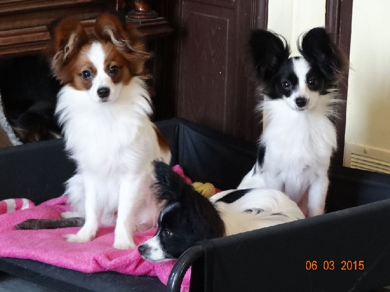 Jepp De La Vallée De La Py