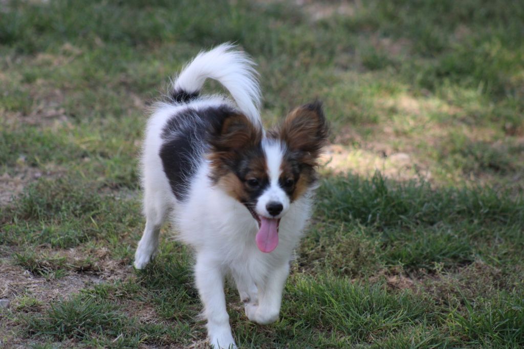 Ricky De La Vallée De La Py