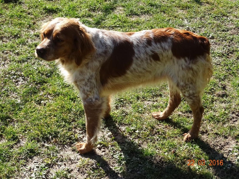 Hulma De La Vallée De La Py