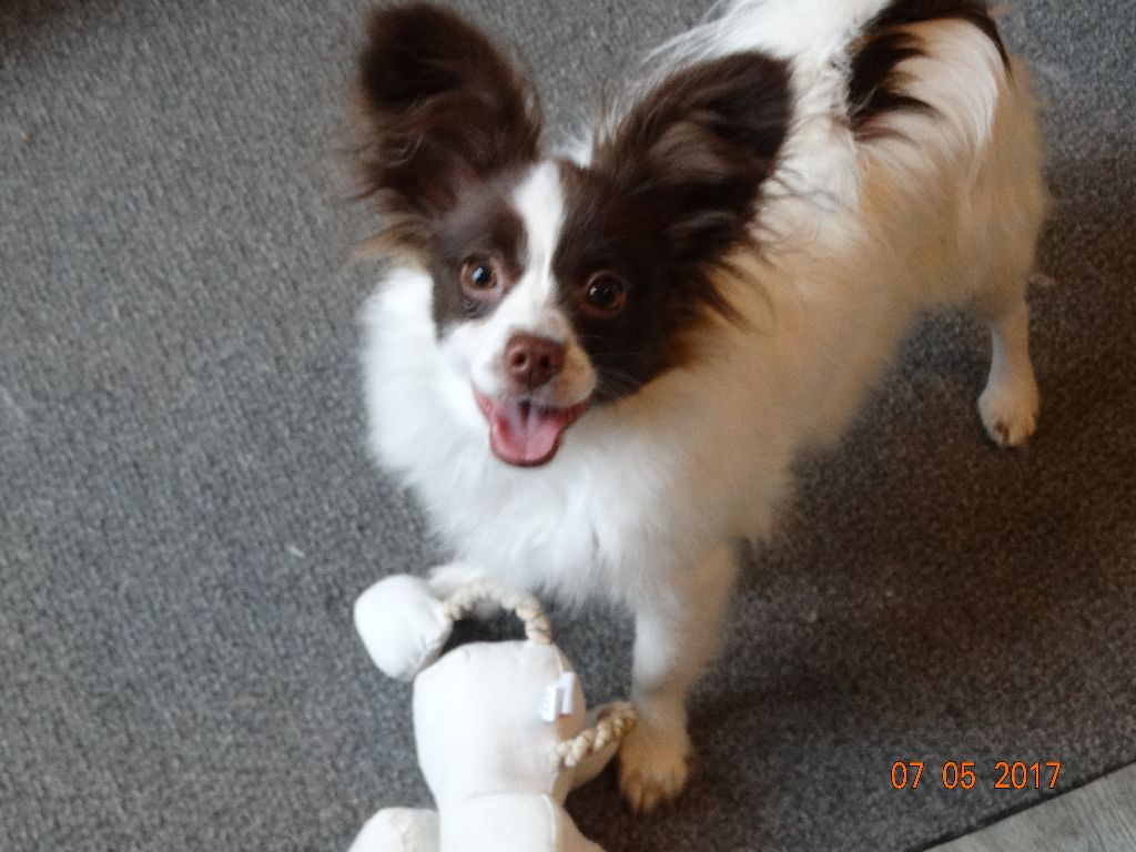 Mirabelle De La Vallée De La Py