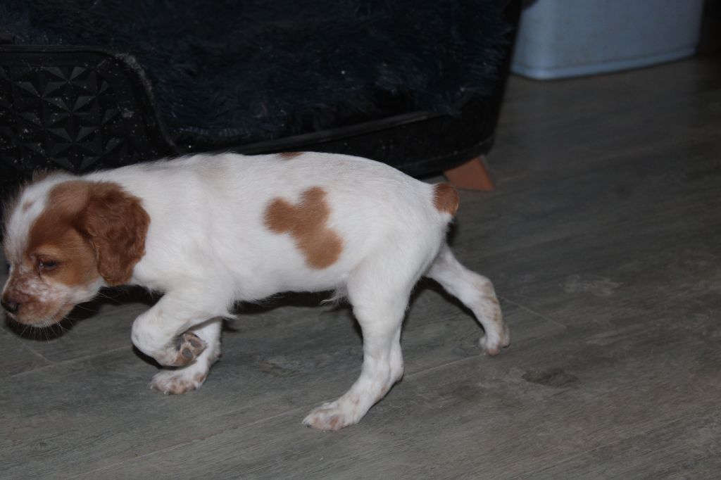 Tcho De La Vallée De La Py