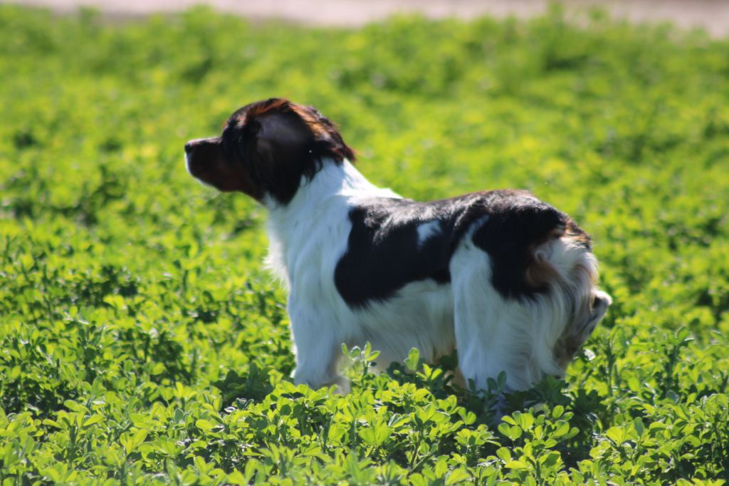 Vidoc De La Vallée De La Py