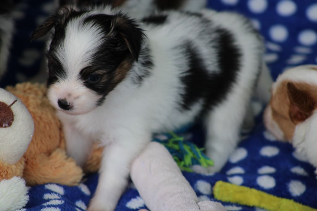 Ricky De La Vallée De La Py