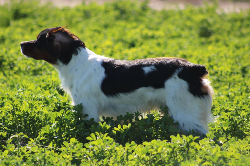 Vidoc De La Vallée De La Py