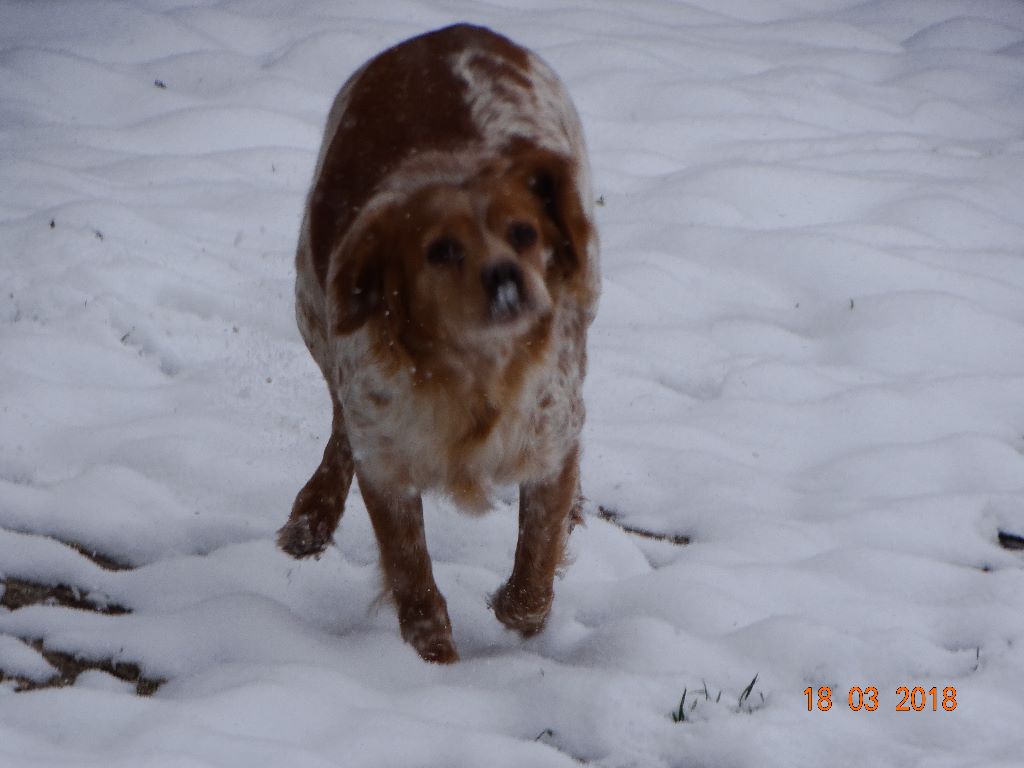 Hulma De La Vallée De La Py