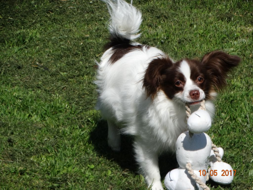 Mirabelle De La Vallée De La Py