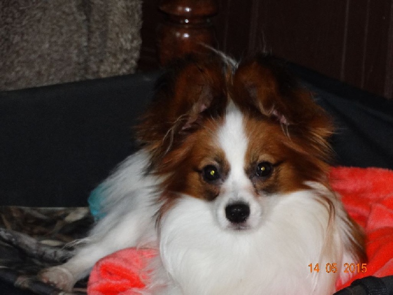 Jepp De La Vallée De La Py