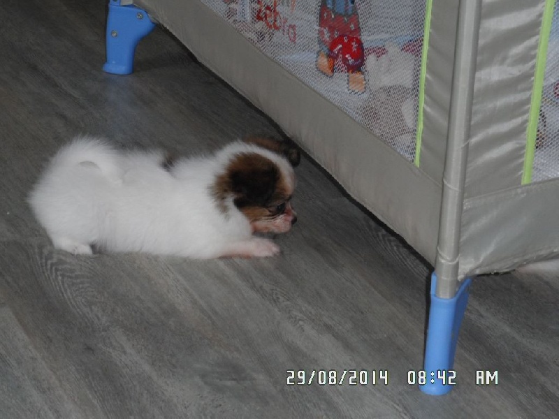 Jepp De La Vallée De La Py