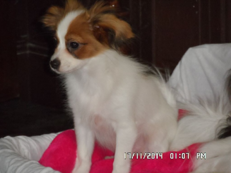 Jepp De La Vallée De La Py