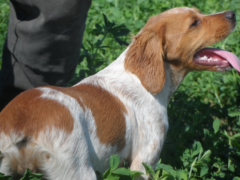 Hulma De La Vallée De La Py