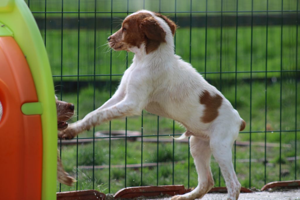 Tcho De La Vallée De La Py