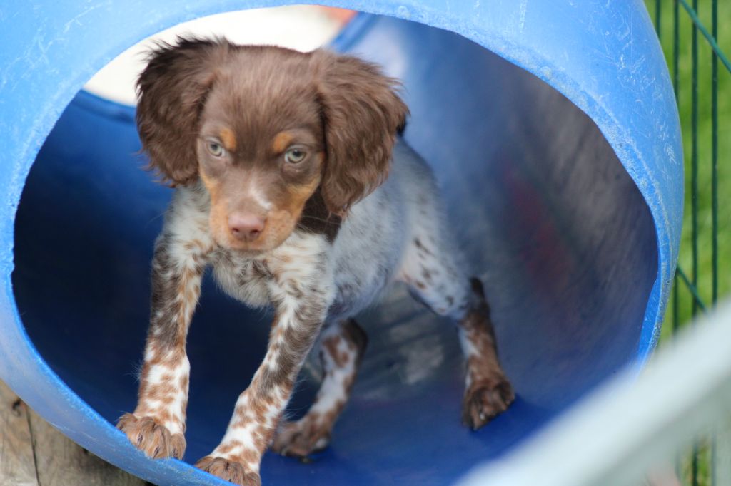 Toto De La Vallée De La Py