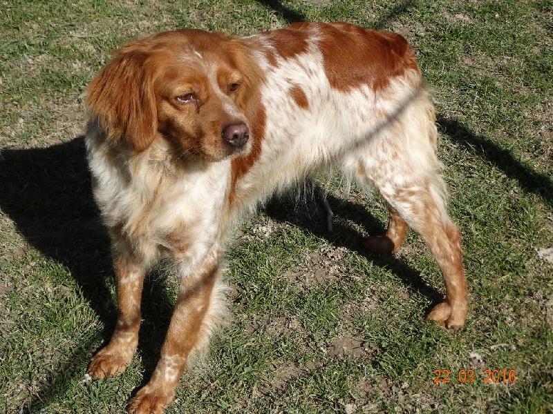 Hulma De La Vallée De La Py