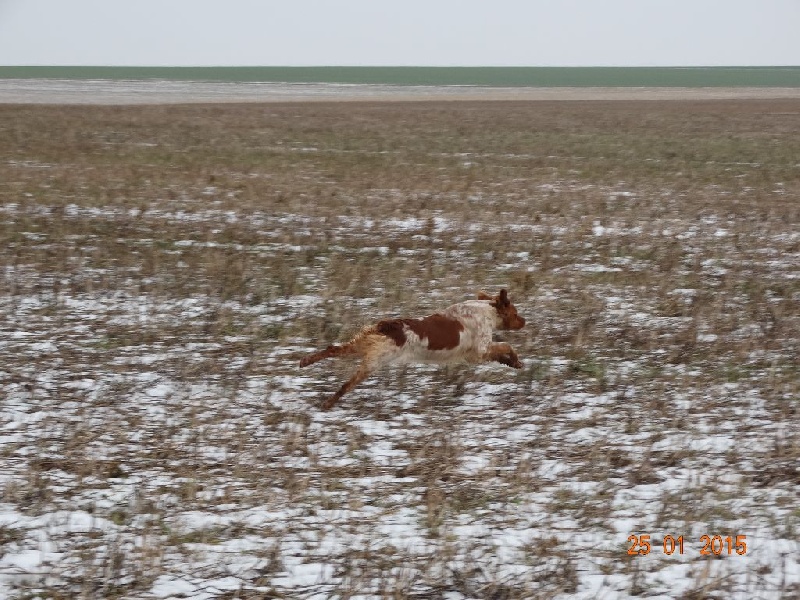 Hulma De La Vallée De La Py