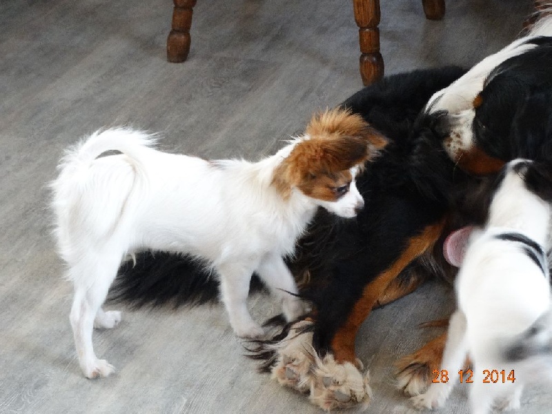 Jepp De La Vallée De La Py