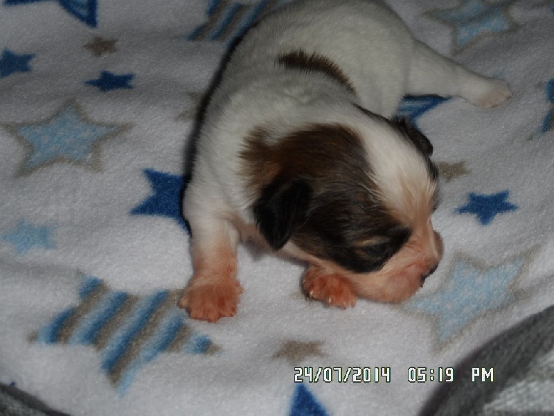 Jepp De La Vallée De La Py