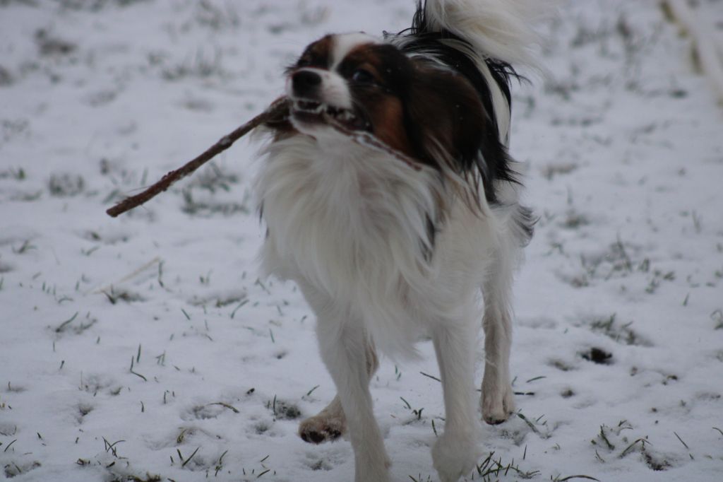 Ricky De La Vallée De La Py