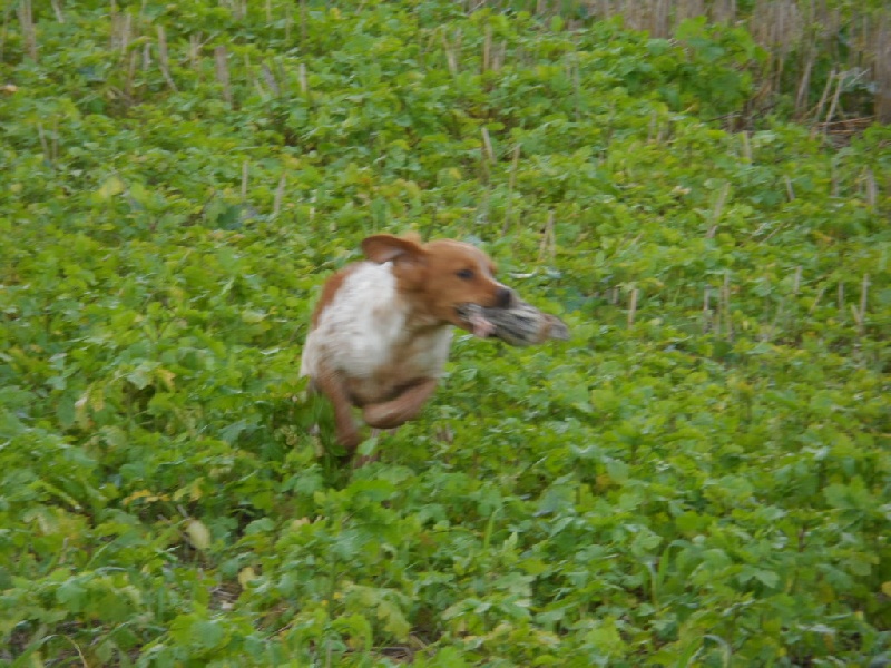 Hulma De La Vallée De La Py