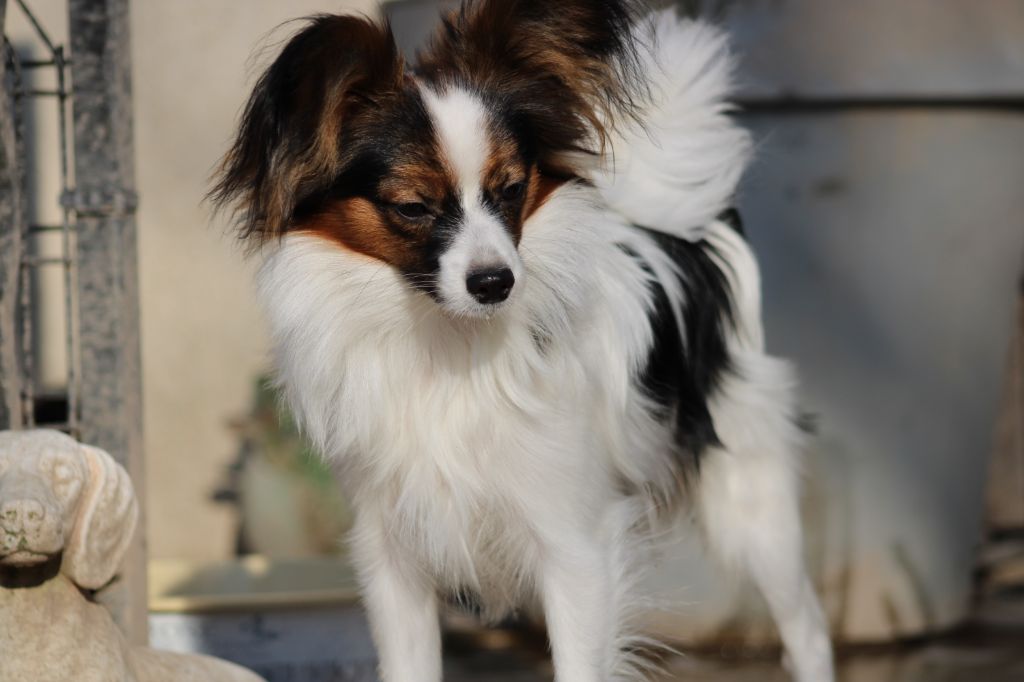 Ricky De La Vallée De La Py