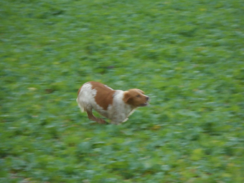 Hulma De La Vallée De La Py