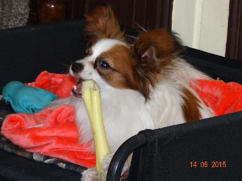 Jepp De La Vallée De La Py