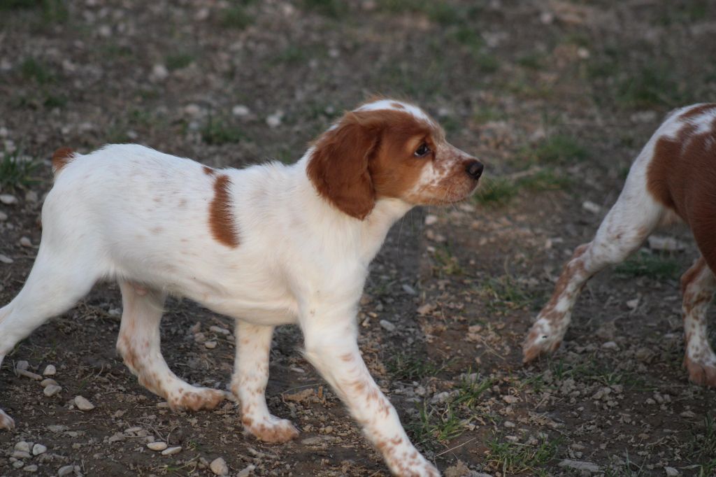 Tcho De La Vallée De La Py