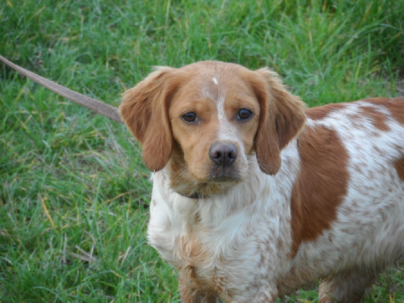 Hulma De La Vallée De La Py