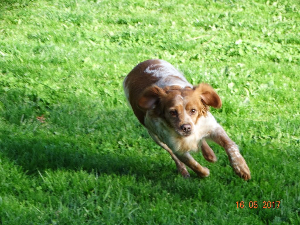 Hulma De La Vallée De La Py