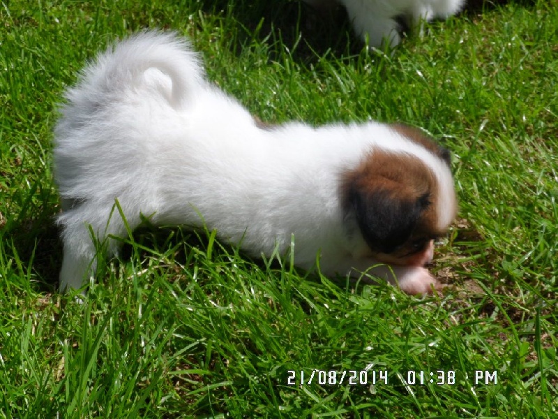 Jepp De La Vallée De La Py