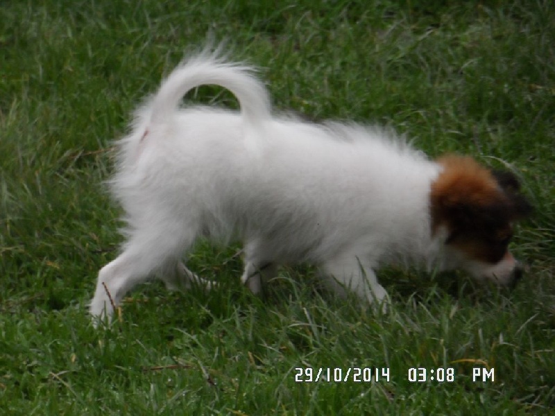 Jepp De La Vallée De La Py