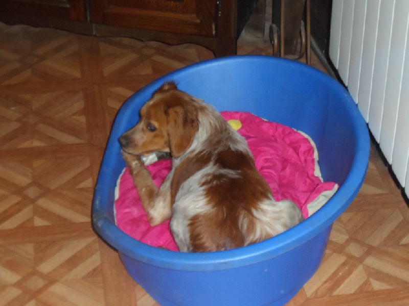 Hulma De La Vallée De La Py