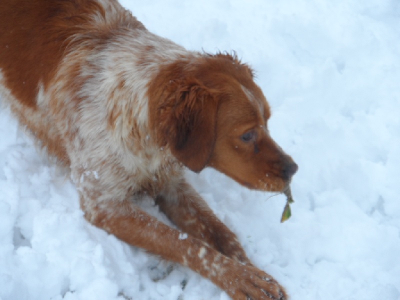 Hulma De La Vallée De La Py