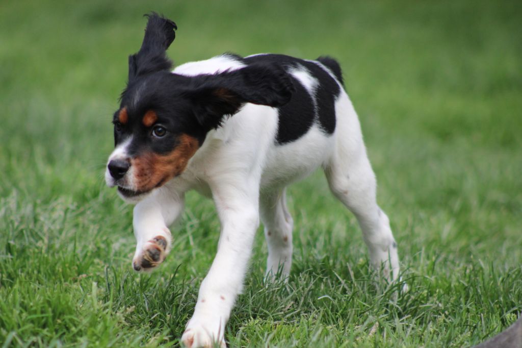 Vidoc De La Vallée De La Py