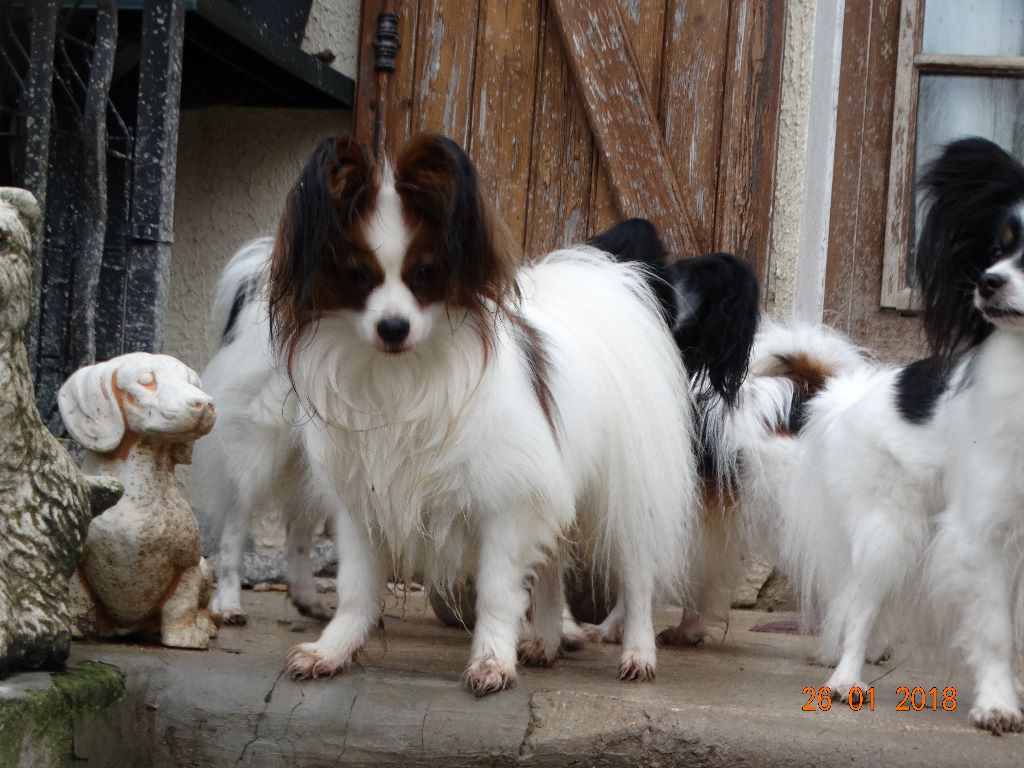 Jepp De La Vallée De La Py