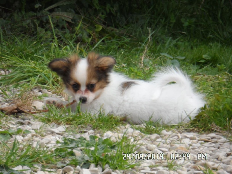 Jepp De La Vallée De La Py