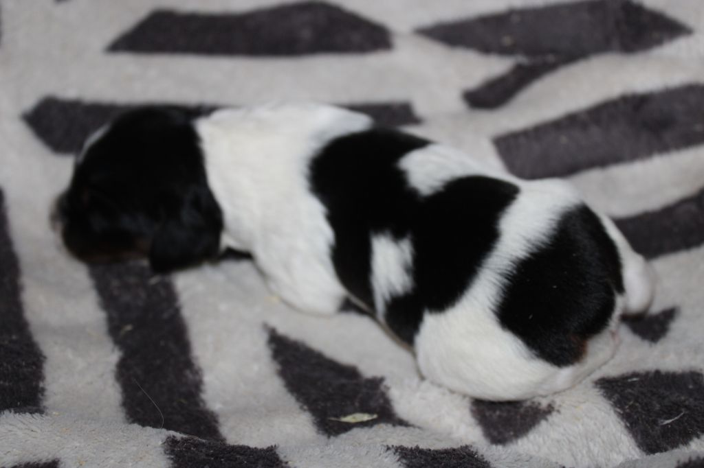 Vidoc De La Vallée De La Py