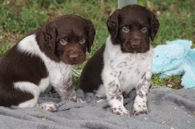 De La Vallée De La Py