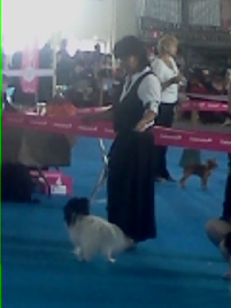 Eline dit lili de la Ferme De La Rodde - excellent