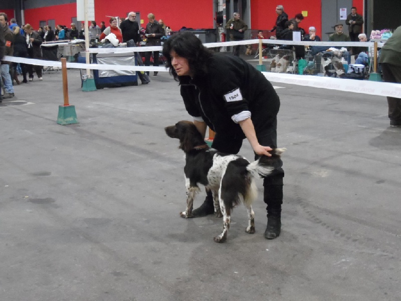 Gessy De La Vallée De La Py - 1 EXCELLENT