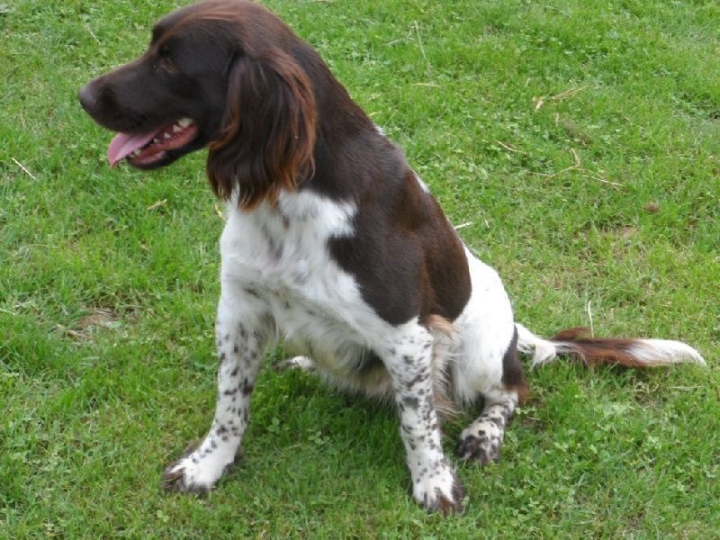 Gessy De La Vallée De La Py - TAN