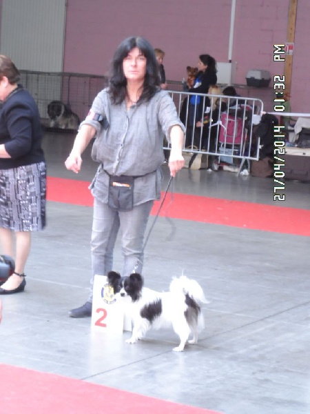 Ilou du domaine d istrias - 2 EXCELLENT CLASSE JEUNE