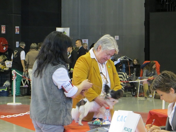 Ilou du domaine d istrias - PROMETTEUR