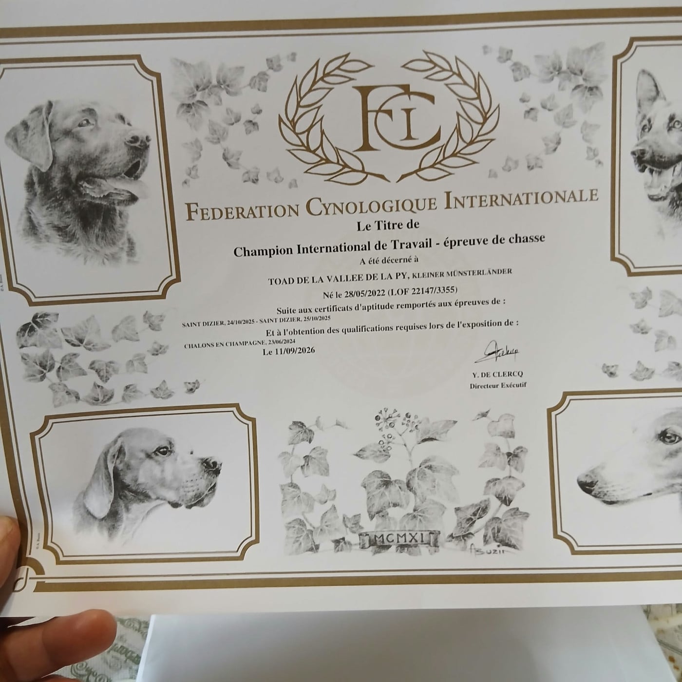 TR. CH. Toad De La Vallée De La Py - CHAMPION INTERNATIONAL DE TRAVAIL