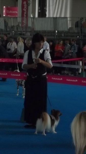 Django des Naiades de l'étang roi - excellent