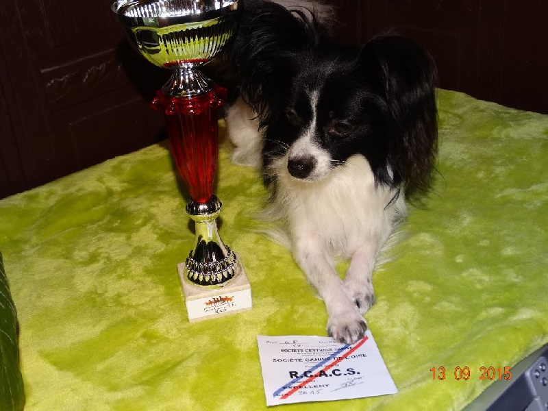 Ilou du domaine d istrias - 2 EXCELLENT RCACS CLASSE OUVERTE