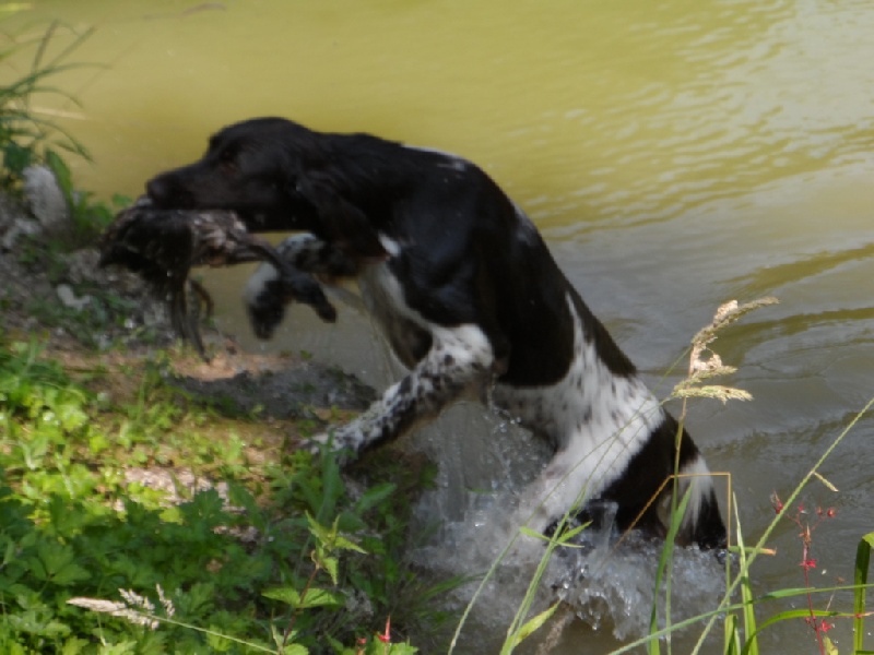 Gessy De La Vallée De La Py - 2 CAT 29 SUR 32
